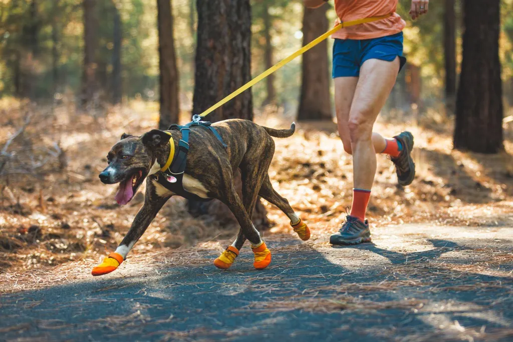 Ruffwear Summit Trex: Proteggi il Tuo Cane con Dolcezza e Sicurezza - 4