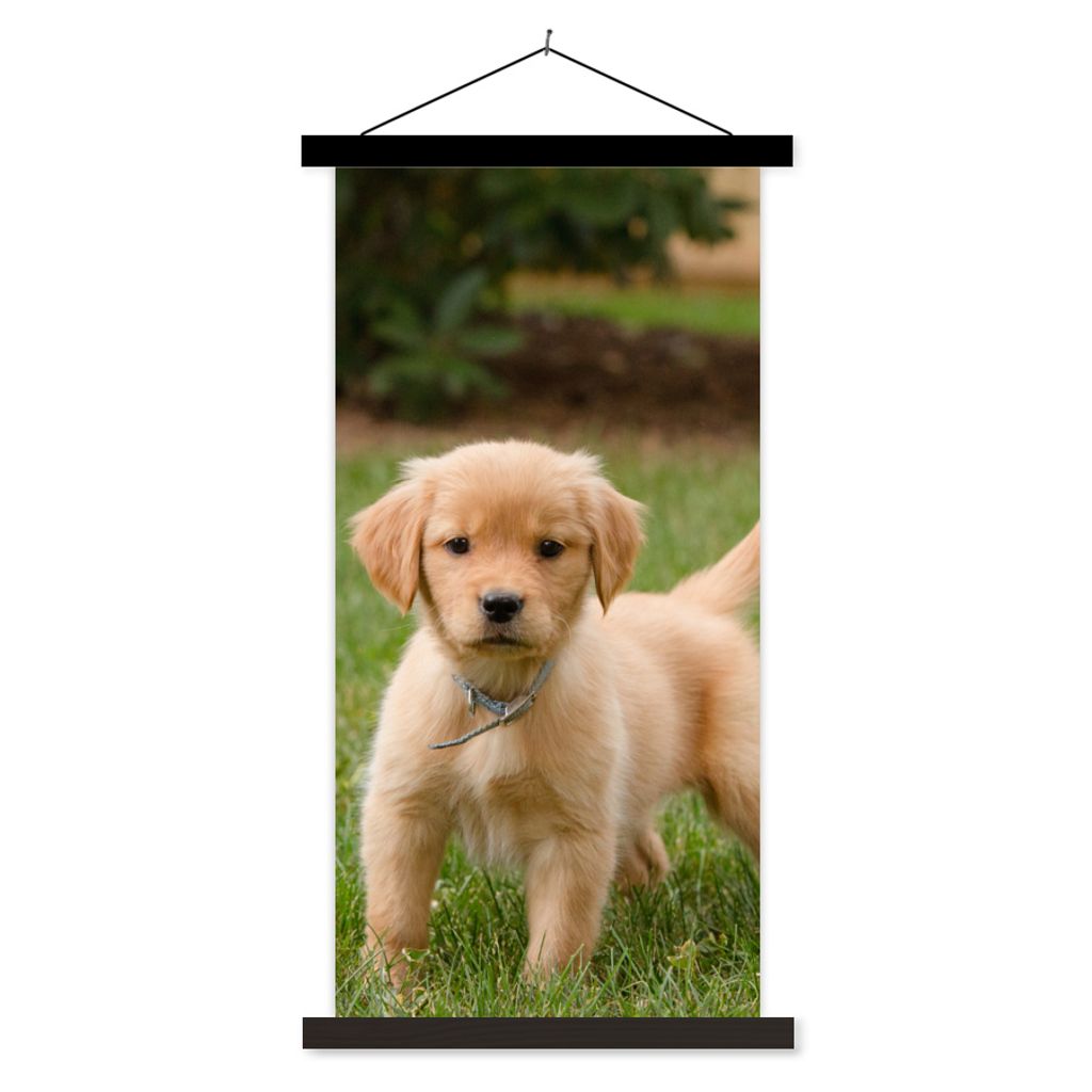 MuchoWow Textilposter Golden Retriever Welpe im grünen Gras 40x80 cm mit schwarzem Rahmen - Wandemalerei