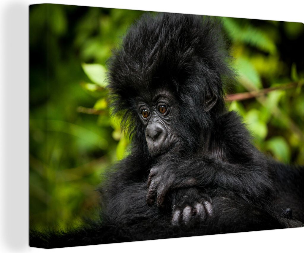 OneMillionCanvasses - Leinwandbilder - 140x90 cm, Nahaufnahme eines jungen Gorillas, Wandbilder Kunstdruck Wanddekoration