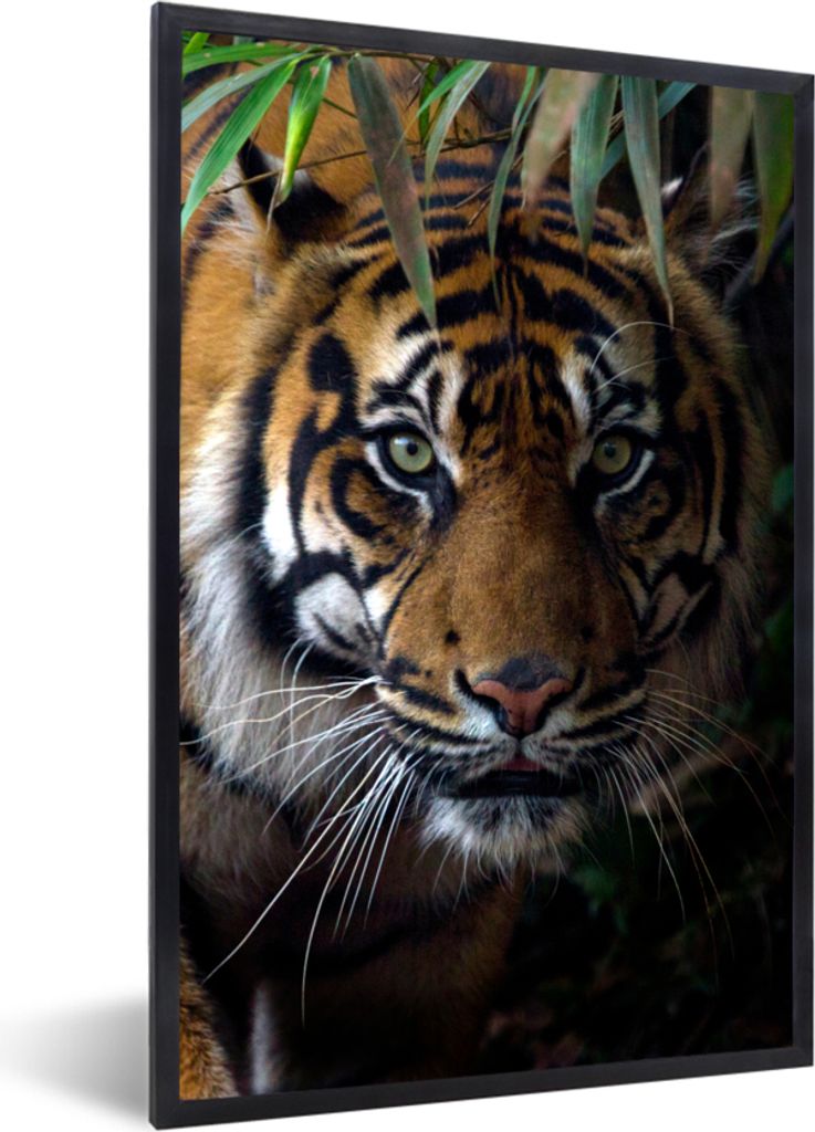 MuchoWow Gerahmtes Poster Tiger - Blätter - Dschungel - Tiere - Wild 60x90 cm - Poster mit Schwarzem Bilderrahmen Wandposter Rahmen Foto Bilder ...