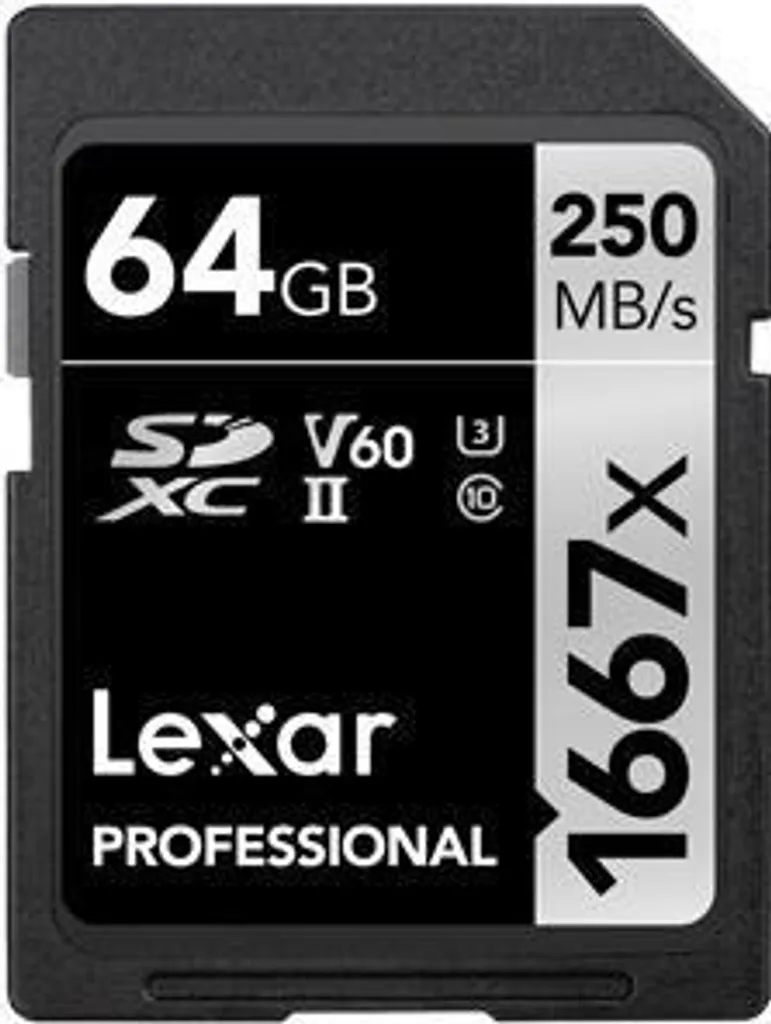 Offerta Lexar Professional 64GB SDXC UHS-II - Compra l'Originale 1667x