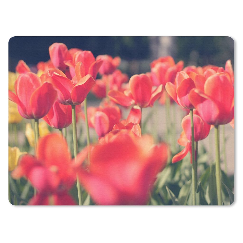 MuchoWow Mauspad Mousepad Tulpen - Blumen - Natur 23x19 cm - Mousepads - Maus Mat - Pad - Mausunterlage - Schreibtischunterlage - Mauspad