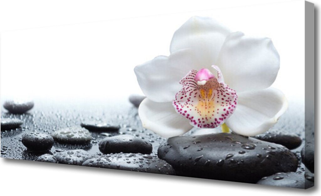 Tulup Leinwand-Bilder 125x50 Wandbild Canvas Kunstdruck Blume Steine Kunst