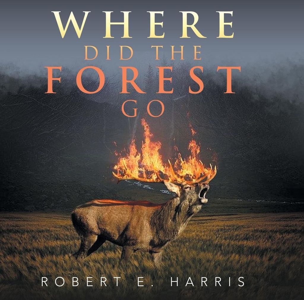 Where Did the Forest Go