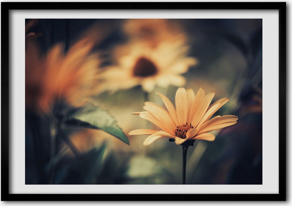 Bild - Bilder - Bilderrahmen - 70 cm x 50 cm - MDF-Rahmen, Produktbild 