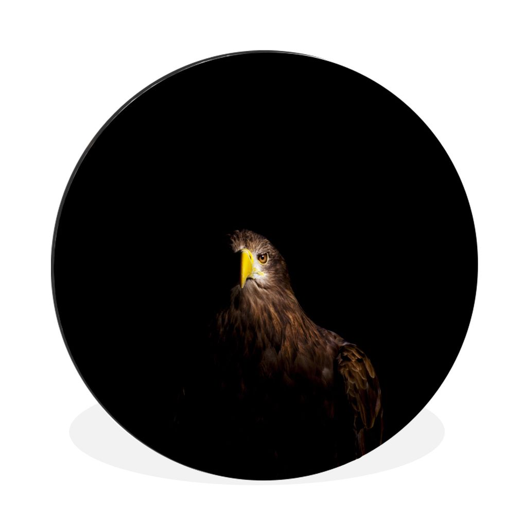MuchoWow Aluminium Wandkreis Europäischer Seeadler auf schwarzem Hintergrund Ø 30 cm Wanddeko Modern Wohnzimmer - Wand Bild - Wohnzimmer - Rund...