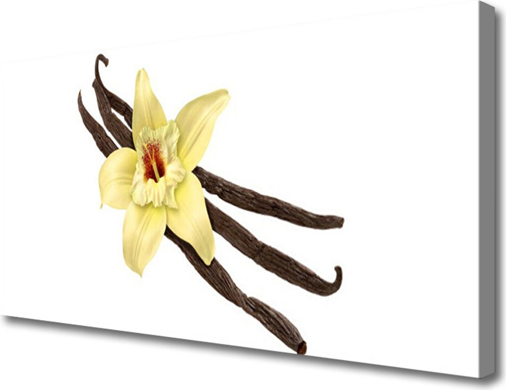 Tulup Leinwand-Bilder 100x50 Wandbild Canvas Kunstdruck Blume Pflanzen