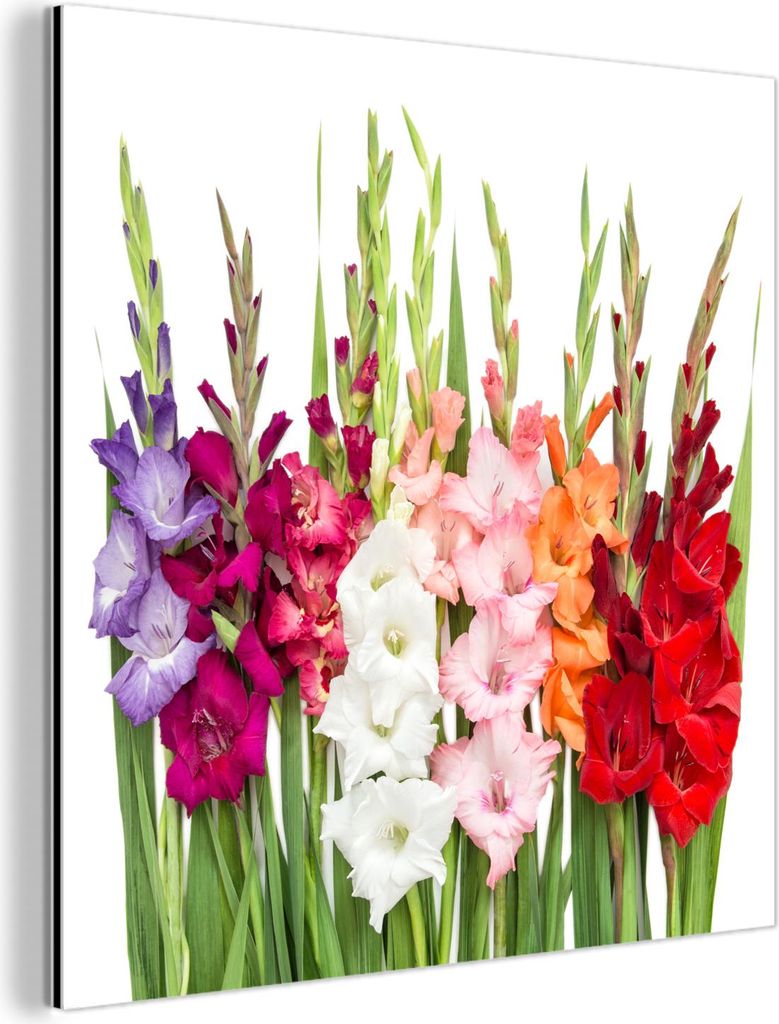 MuchoWow Wanddekoration Metall Metallbild Wandkunst 90x90 cm Gladiolen - Blumen - Farben MuchoWow Aluminium Gemälde - Dekoration - Industrial - Me...