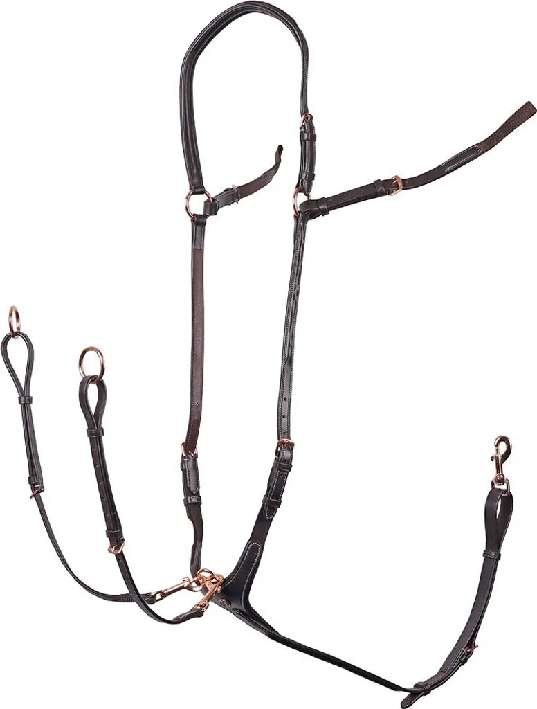 Plastron de Concours Équitation Marron et Rosegold Chic Taille Full