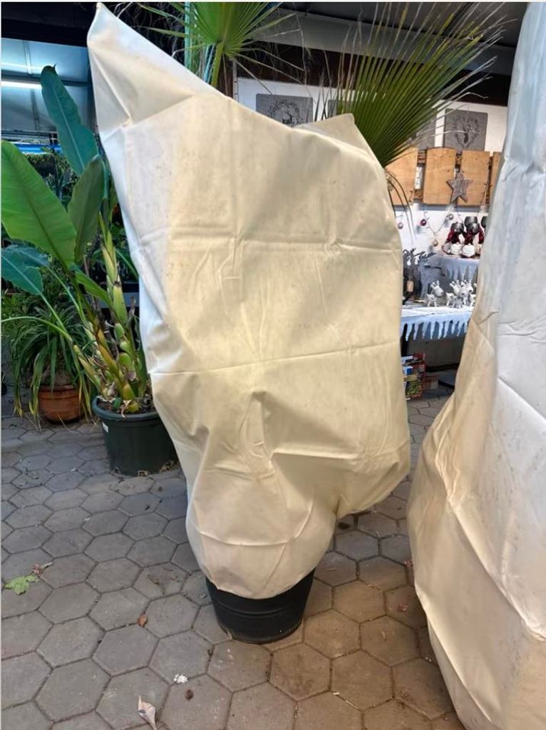 Palmenheld Pflanzenschutzhaube M 180x120 cm 70g/m² Isoliervlies Reißverschluss Palme Olive Winterschutz