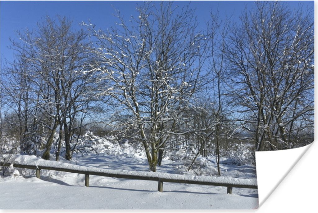 MuchoWow Poster Ein winterlicher Tag unter blauem Himmel in den Ardennen 60x40 cm - Schlafzimmerdekoration