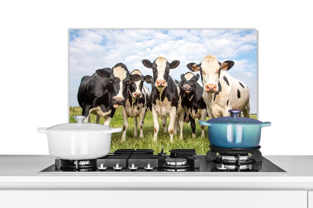 KitchenYeah Spritzschutz Küche - Küchenrückwand - Wandschutz für Herd und Spüle - Kühe - Weide - Tiere - Natur - Gras 70x50 - Alu-Dibond (A...