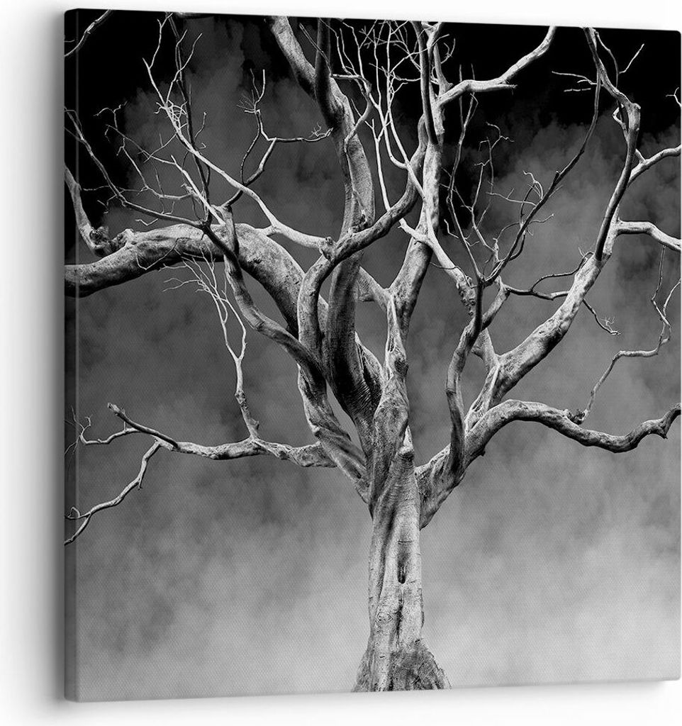 Bild auf Leinwand - Leinwandbild - Einteilig - Schwarzweiß Äste Rauch - 30x30cm - Wand Bild - Wanddeko - Wandbilder - Leinwanddruck - Bilder - Wa...