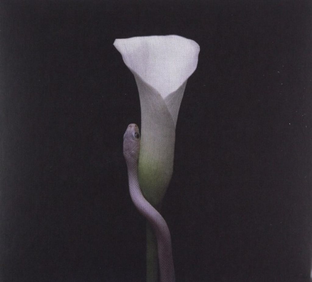 Animals As Leaders - Parrhesia (CD)