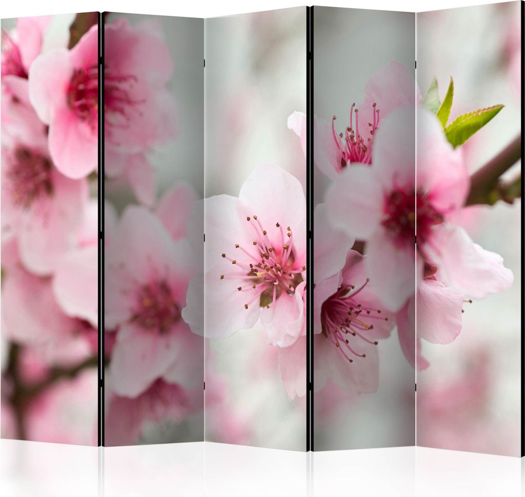 Akusticher Raumteiler Kirschbaum Foto Paravent 225x172 cm beidseitig auf Vlies-Leinwand bedruckt Akustikschaum Trennwand Spanische Wand Sichtschutz...