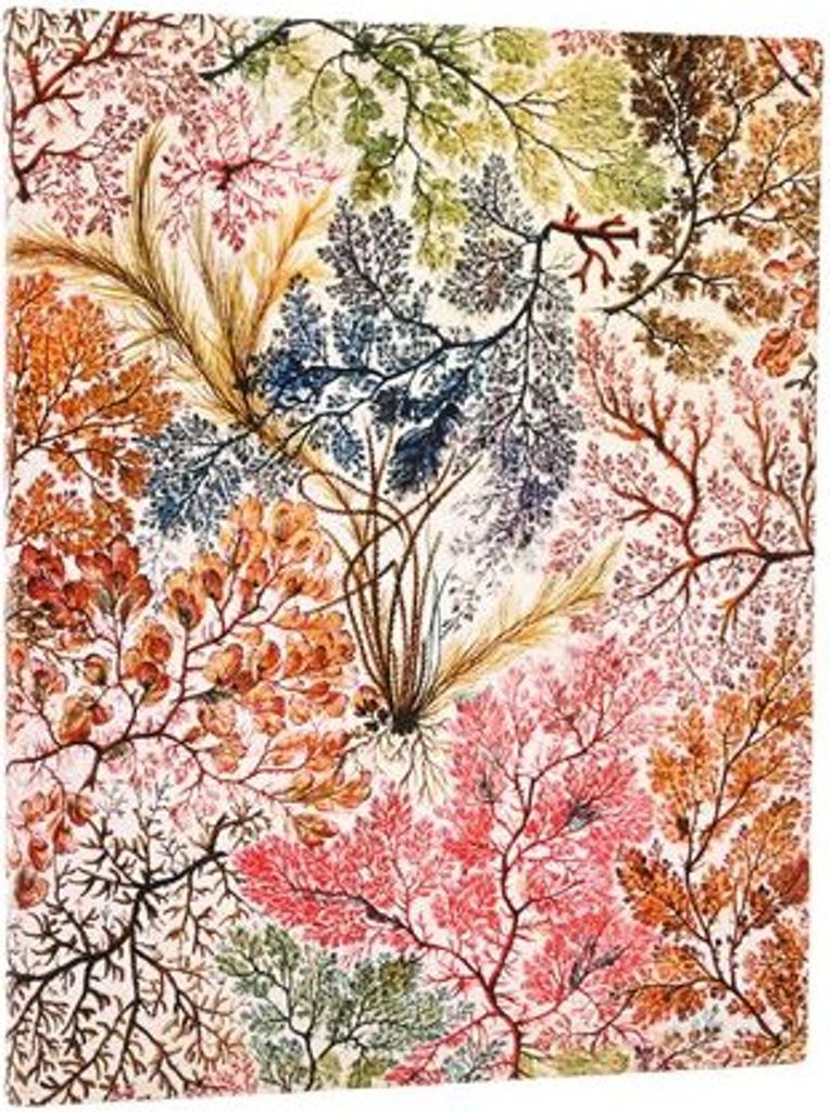 Notatnik w linie Paperblanks William Kilburn, Anemone Ultra