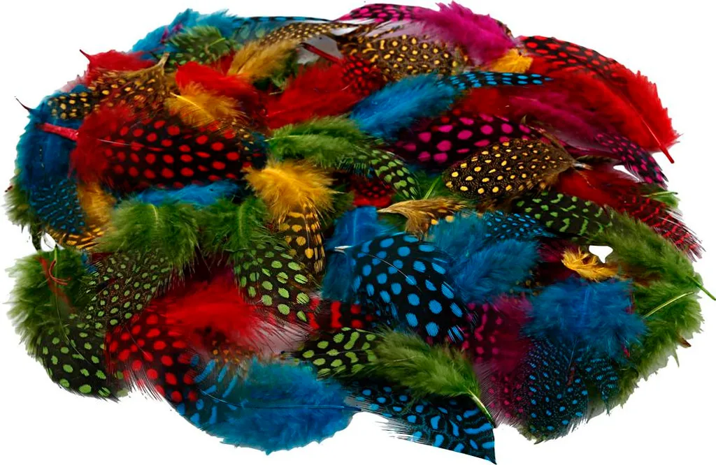 Plumes de pintade naturelles tachetées en assortiment de couleurs, 50g