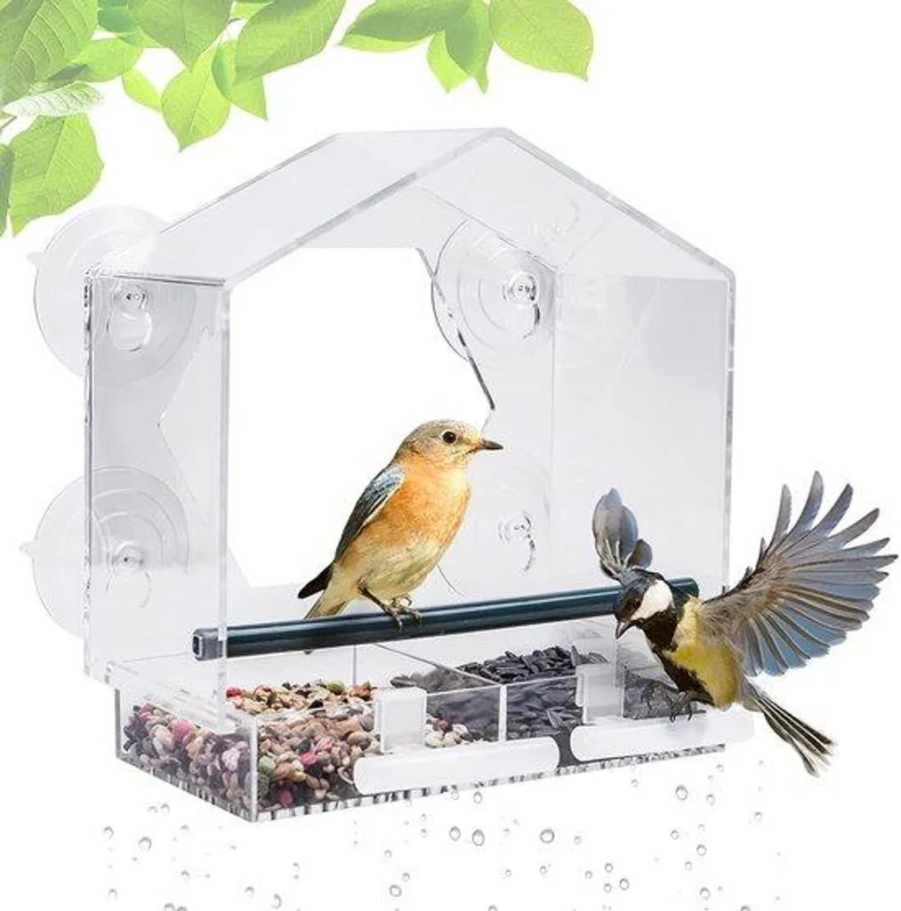 Mangeoire Oiseaux Transparente 21x20x10 cm avec 4 Tasses et 2 Supports