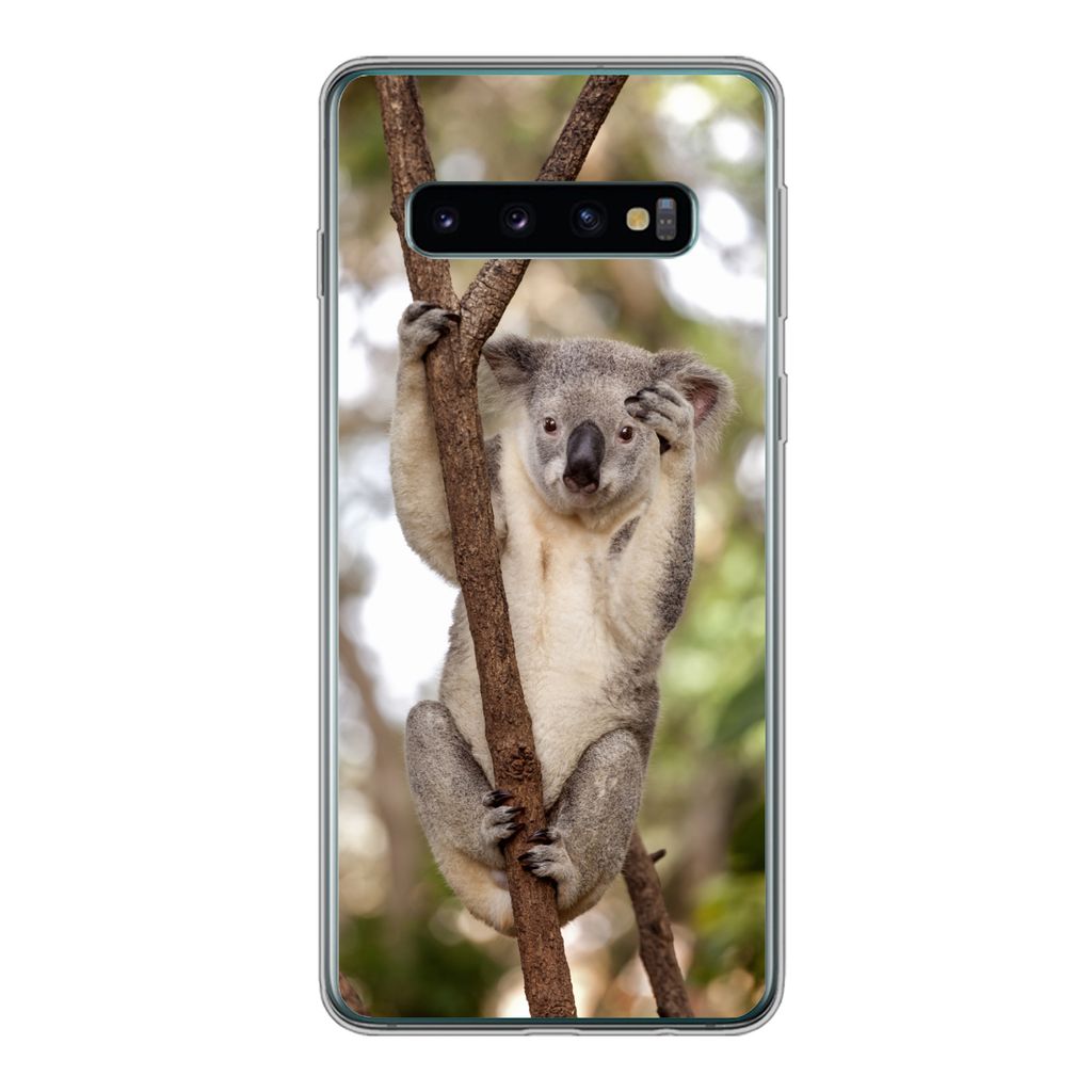 MuchoWow Handyhülle Schutzhülle Hülle für Samsung Galaxy S10 Koala - Äste - Tier - Kinder - Jungen - Mädchen Silikon Softcase Handy Hülle ...