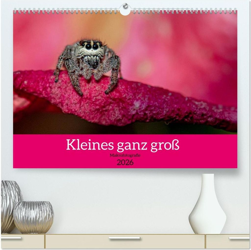 Kleines ganz groß - Makrofotografie (hochwertiger Premium Wandkalender 2026 DIN A2 quer), Kunstdruck in Hochglanz