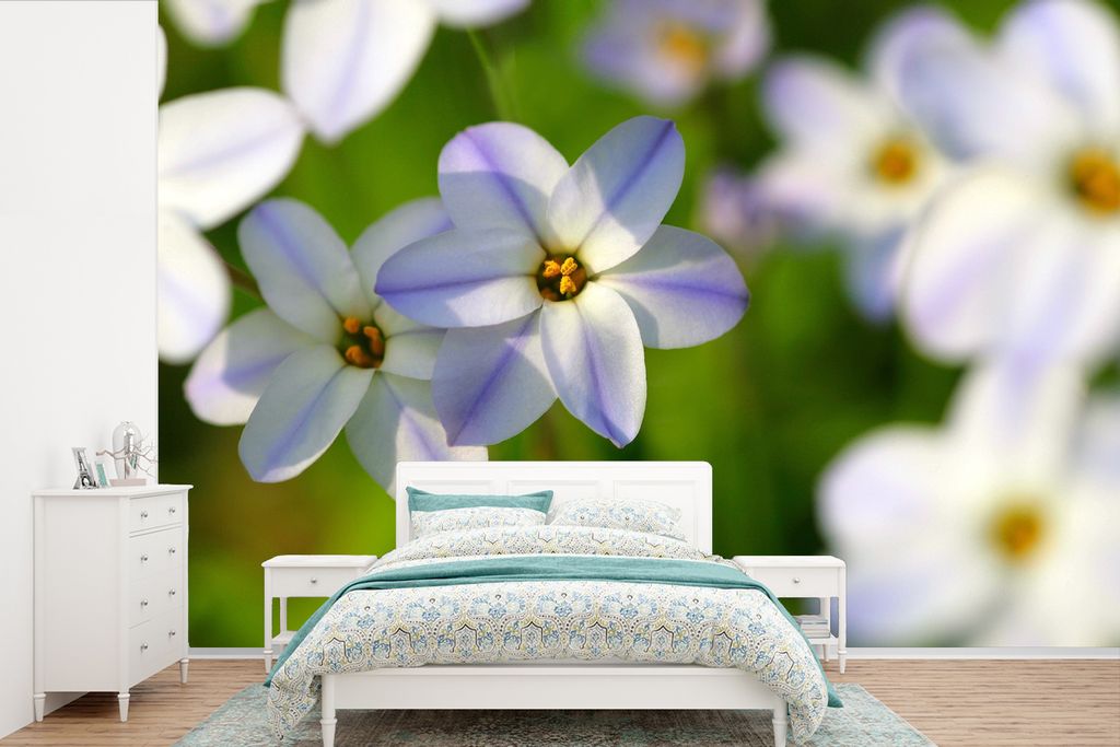 MuchoWow Fototapete für Wohnzimmer oder Schlafzimmer Wandtapete Vinyl Motivtapete Blumen - Garten - Lila - 420x280 cm - Zimmer für Kinder