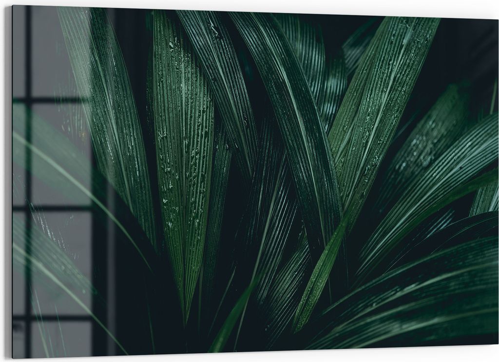 DEQORI Magnettafel Glas 60x40 cm 'Tropisches Flüstern' beschreibbar Whiteboard Küche