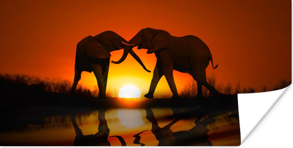 MuchoWow Poster Elefantenpaar bei Sonnenuntergang 40x20 cm - Poster für die Wand - Poster Schlafzimmer
