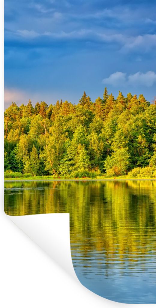 MuchoWow Wandtattoo Wandsticker Wandaufkleber Wasser - Natur - Wald 20x40 cm Selbstklebend und Repositionierbar - Selbstklebend - Fototapeten