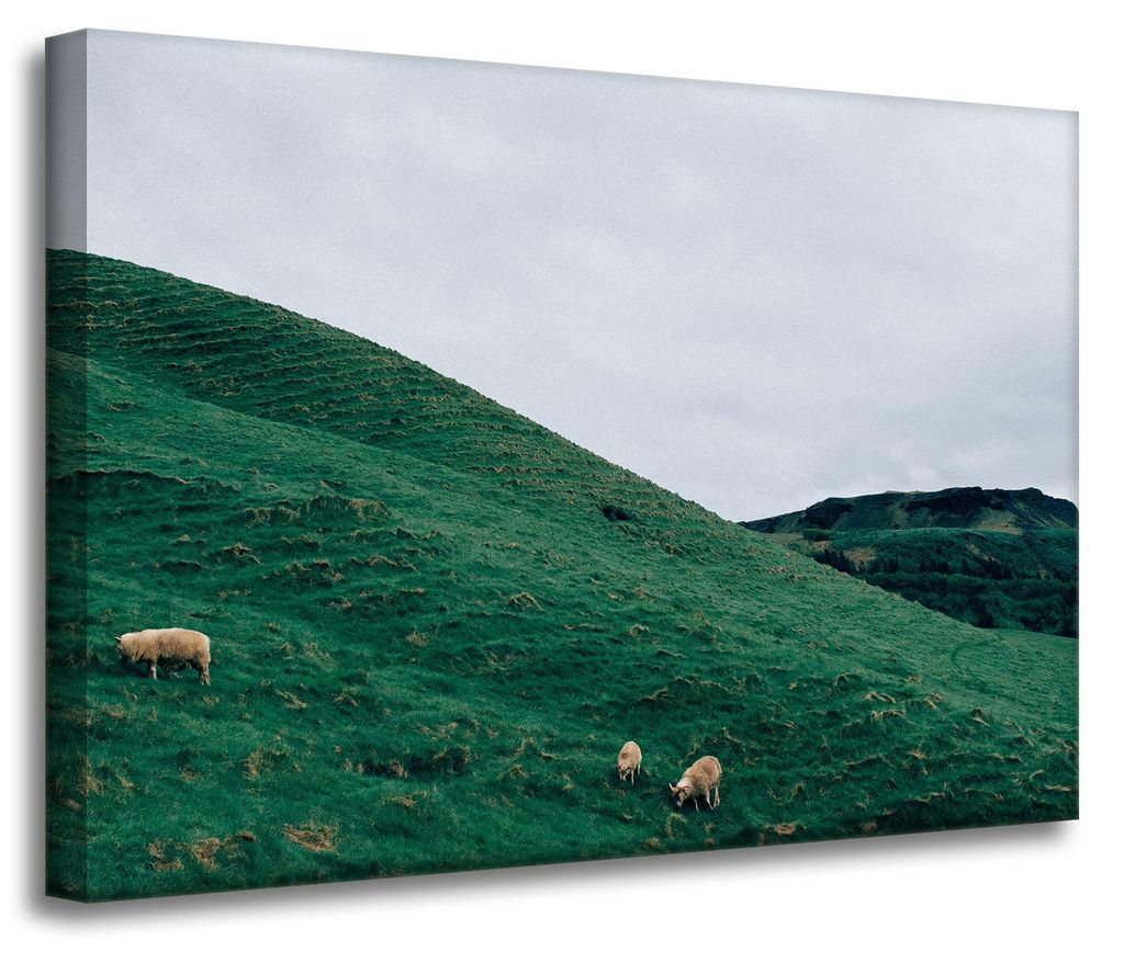 Leinwanddruck Naturweide in den Bergen 70x50