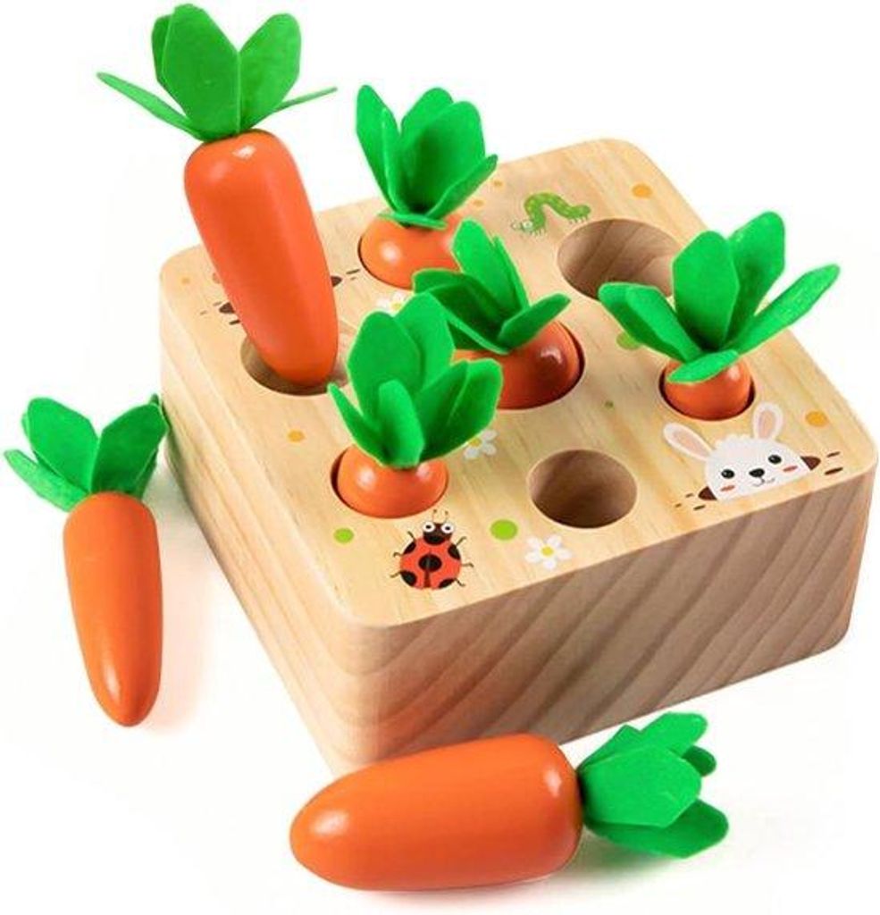 Holzspielzeug für Kinder ab 1 Jahr, fördert die Baby-Motorik, ab 12 Monaten, für Jungen und Mädchen, Montessori-Sortierspiel, Holzpuzzle, erzie...
