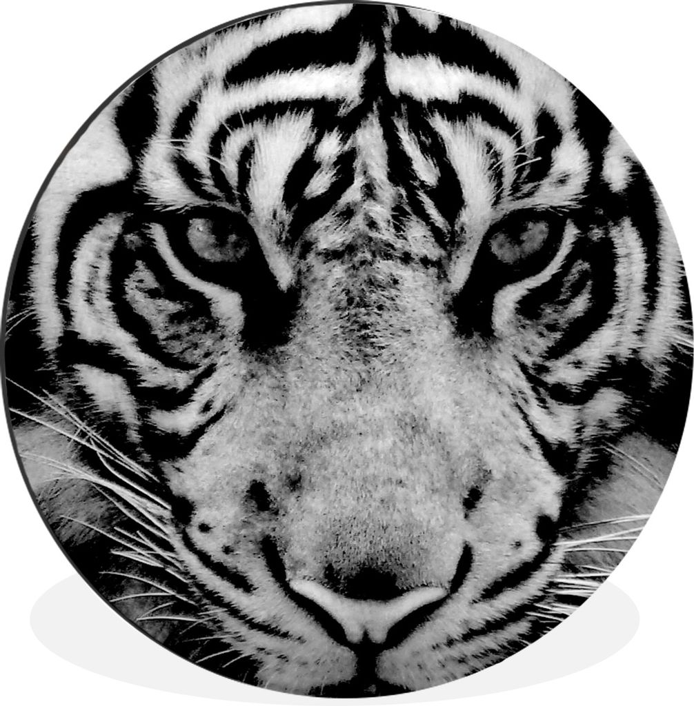 MuchoWow Aluminium Wandkreis Sumatra-Tiger vor schwarzem Hintergrund in schwarz und weiß Ø 90 cm Wanddeko Modern Wohnzimmer - Mauerkreis - Wand...