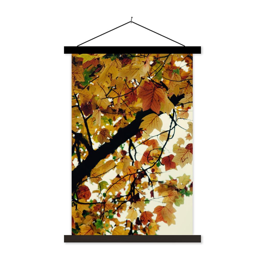 MuchoWow Textilposter Bäume - Herbstblätter - Natur 120x180 cm mit schwarzem Rahmen - Fotos