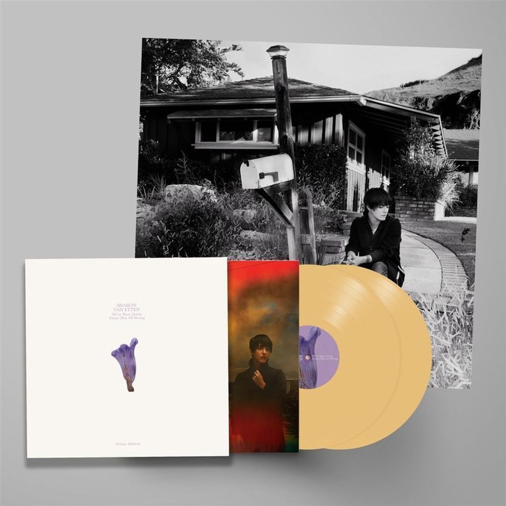 Sharon Van Etten: Sharon Van Etten - We've Been Going About This All Wrong (Deluxe Edition) (Custard Vinyl) - 375 Media - (LP / W)