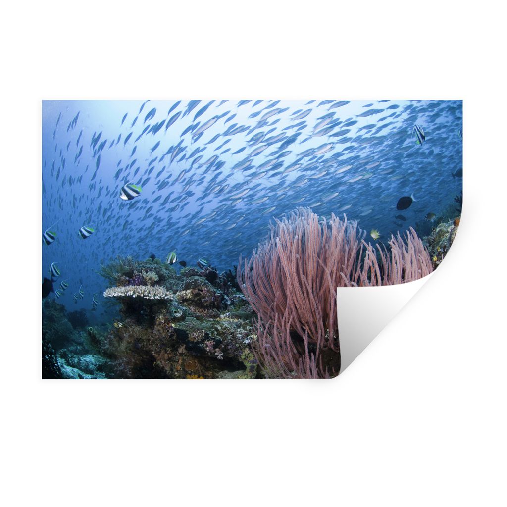 MuchoWow Wandtattoo Wandsticker Wandaufkleber Riff mit einem Fischschwarm 60x40 cm Selbstklebend und Repositionierbar - Wierderverwendbar - Selbs...