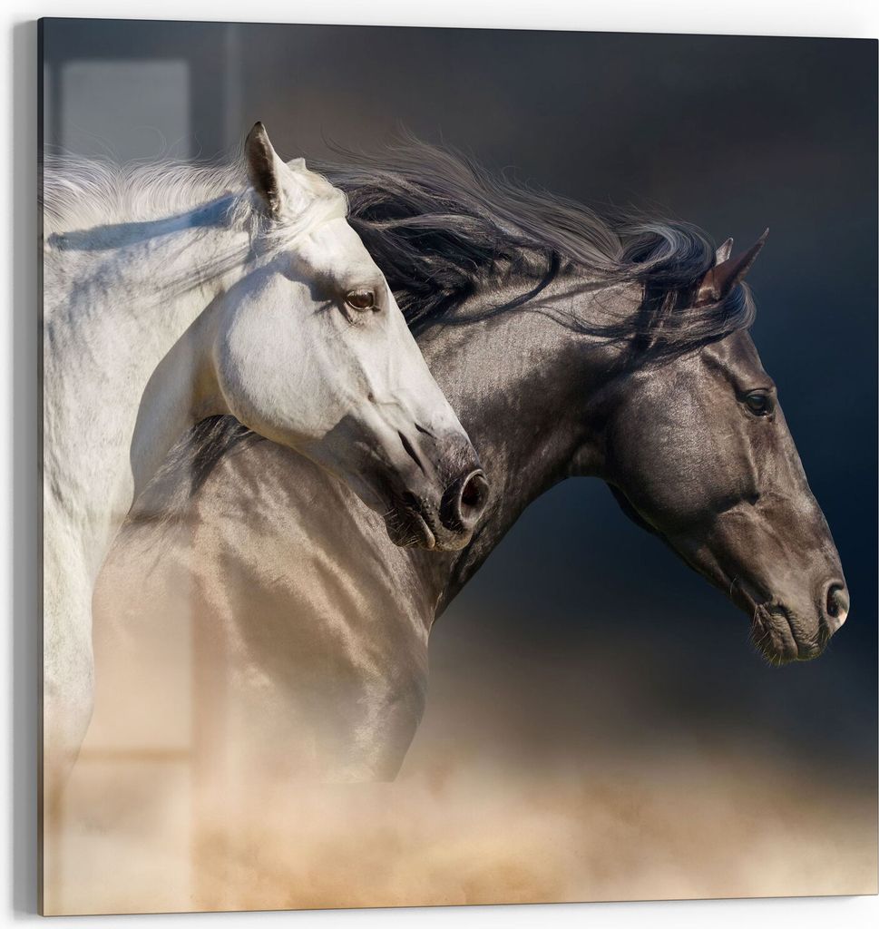 DEQORI Glasbild Acryl 50x50 cm 'Pferde-Trio im Galopp' Wandbild Bild modern Deko