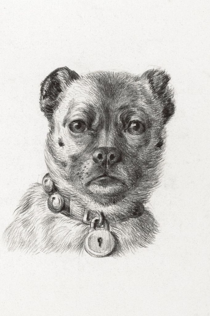 Plakat 20x30cm Hundekopf mit Halsband, Jean Bernard Vintage für das Wohnzimmer