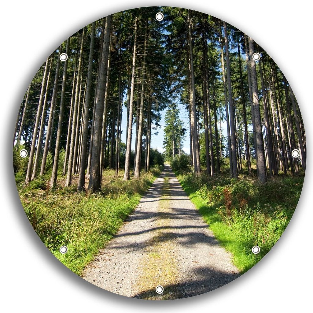 Wallario rundes Outdoor-Poster für Garten oder Balkon, Motiv Stiller Waldweg, 30 cm Durchmesser