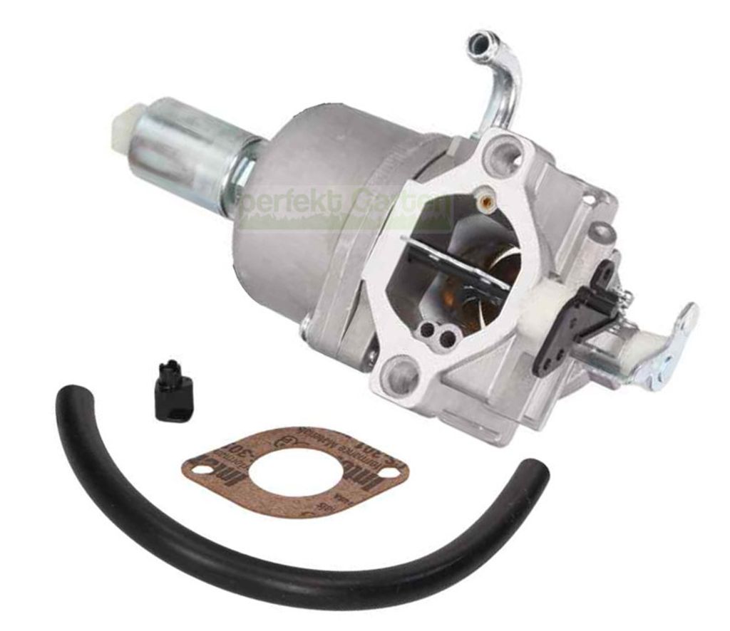 Carburatore per Briggs & Stratton 14-19 HP OHV 310000 Immagine del prodotto 