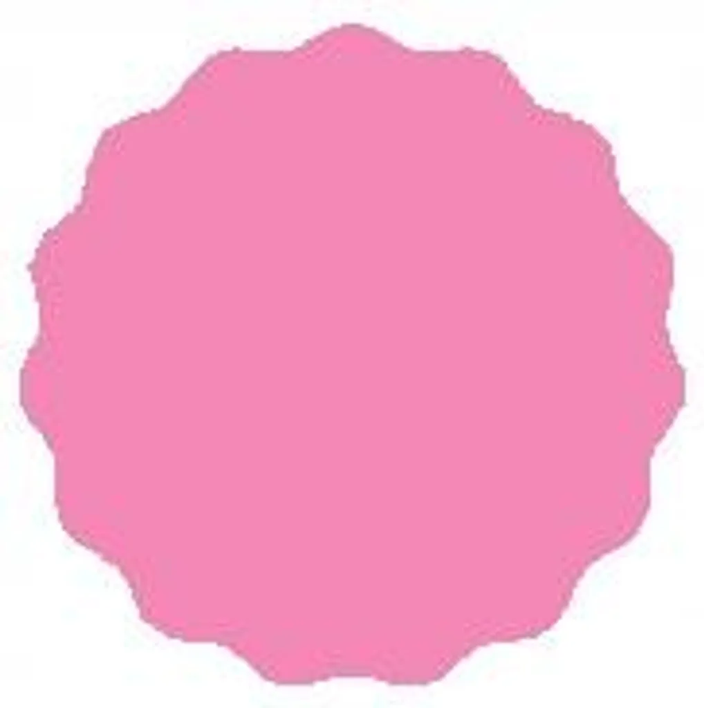 Etichette adesive 5,5 cm per conserve, 48 pezzi, rosa opaco - 2