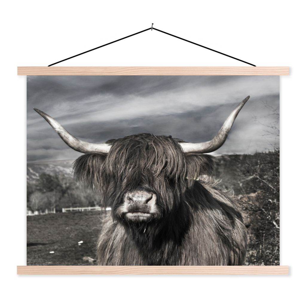 MuchoWow Textilposter Schottischer Highlander - Tiere - Hörner 120x90 cm mit holzfarbenen Rahmen - Magnetisch