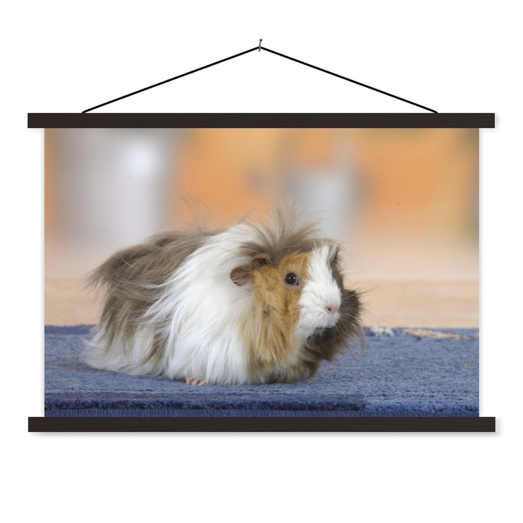 MuchoWow Textilposter Mini-Meerschweinchen 90x60 cm mit schwarzem Rahmen - Aufhängungssatz