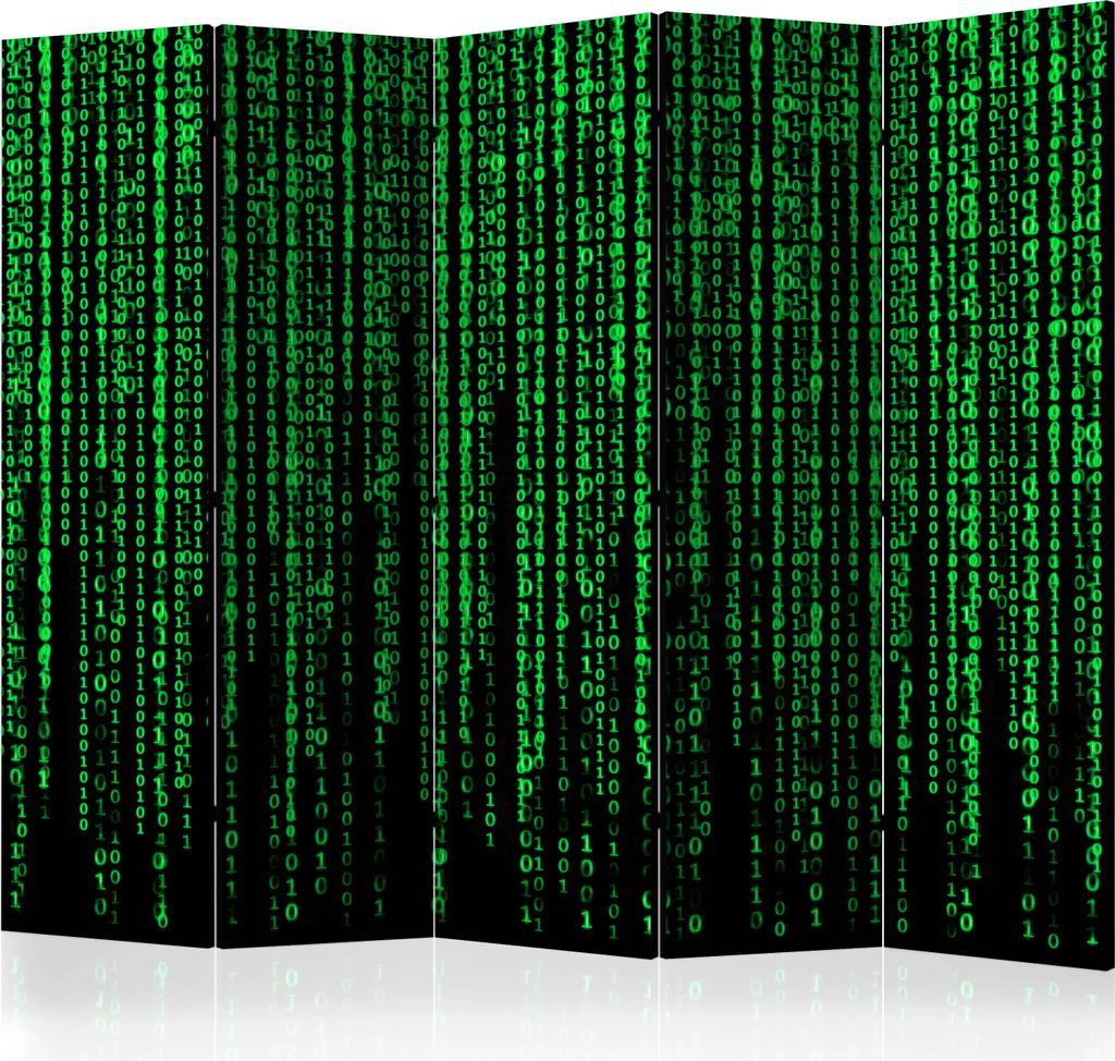 5-teiliger Doppelseitiger Vlies Paravent - Digital Rain II 225x172 cm Menschen n-B-0009-z-c