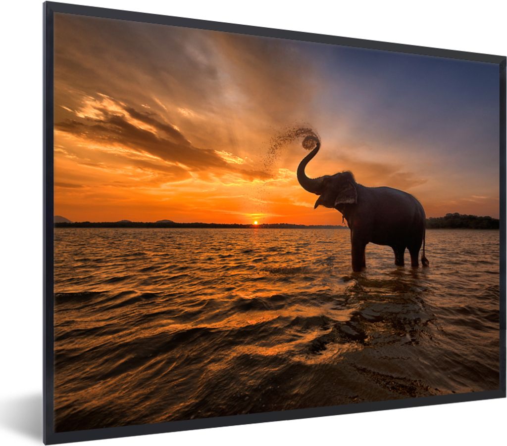 MuchoWow Gerahmtes Poster Elefant - Meer - Tiere - Sonnenuntergang - Orange 80x60 cm - Poster mit Schwarzem Bilderrahmen Wandposter Rahmen Foto B...