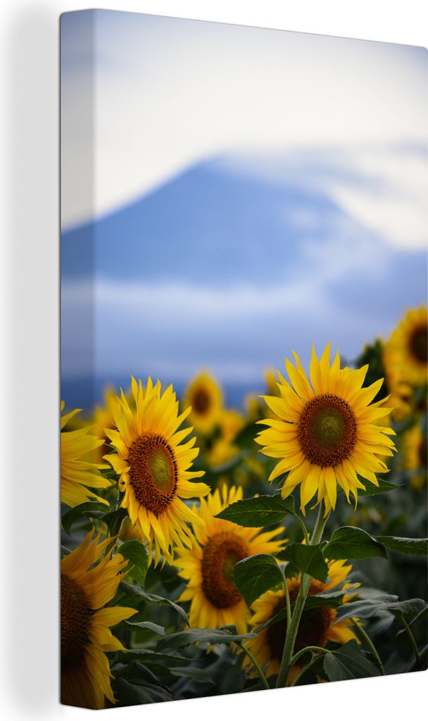 OneMillionCanvasses - Leinwandbilder - 90x140 cm, Sonnenblume - Saatgut - Berg, Wandbilder Kunstdruck Wanddekoration - Wandschmucke - Schlafzimmer