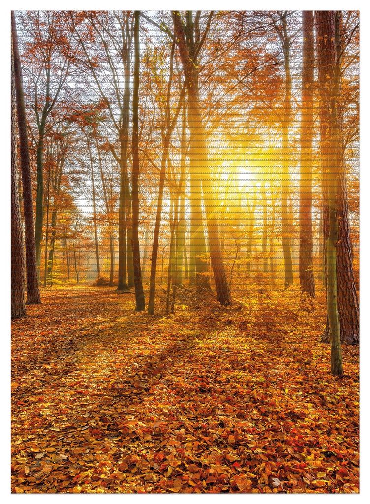 Wallario Duschmatte Antirutschmatte Badmatte Fußmatte Sonnenuntergang im herbstlichen Wald, Größe ca. 90 x 65 cm