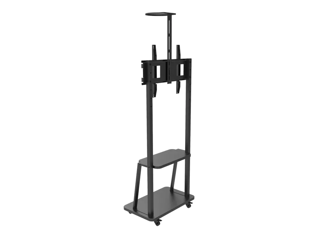 Support écran de signalisation 70" robuste Techly ICA-TR33
