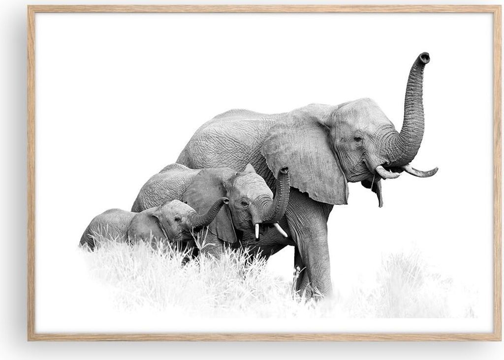 Gerahmtes Poster - Rahmen in heller Eiche - Elefanten Familie Schwarz und Weiß - 100x70 cm - Wand Bild - Wanddeko - Wandbilder - Kunstposter - Wan...