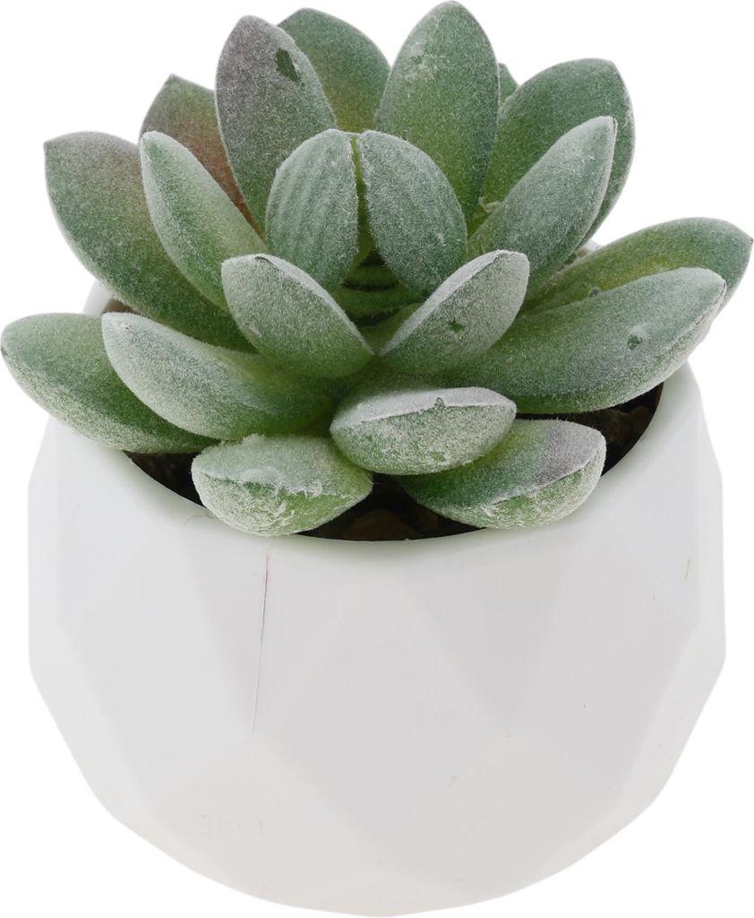 Künstliche Sukkulente Pflanze Typ 1 Bürodekoration Zubeh?r Künstliche Beflockte Pflanzen Für Innenraum Bad Küche Deko