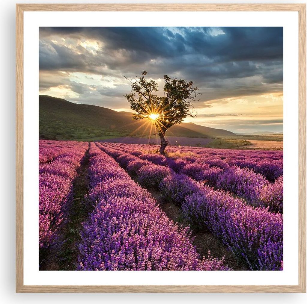 Gerahmtes Poster - Rahmen in heller Eiche - Lavendel Berge Feld - 60x60 cm - Wand Bild - Wanddeko - Wandbilder - Wandposter - Bilderrahmen - Bilder...