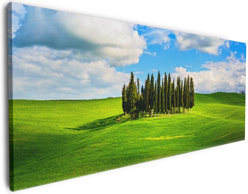 Wallario Premium Leinwandbild Kleiner Wald inmitten einer Produktbild 